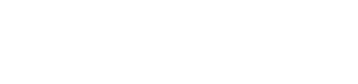 100% Renewable Energy